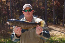 Lake Sidney Lanier Georgia Fishing Guides Lake Sidney Lanier