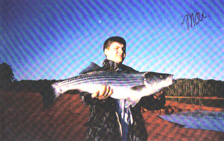 Lake Hartwell Georgia fishing