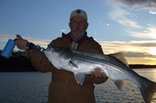 Lake Sidney Lanier Georgia Fishing Guides